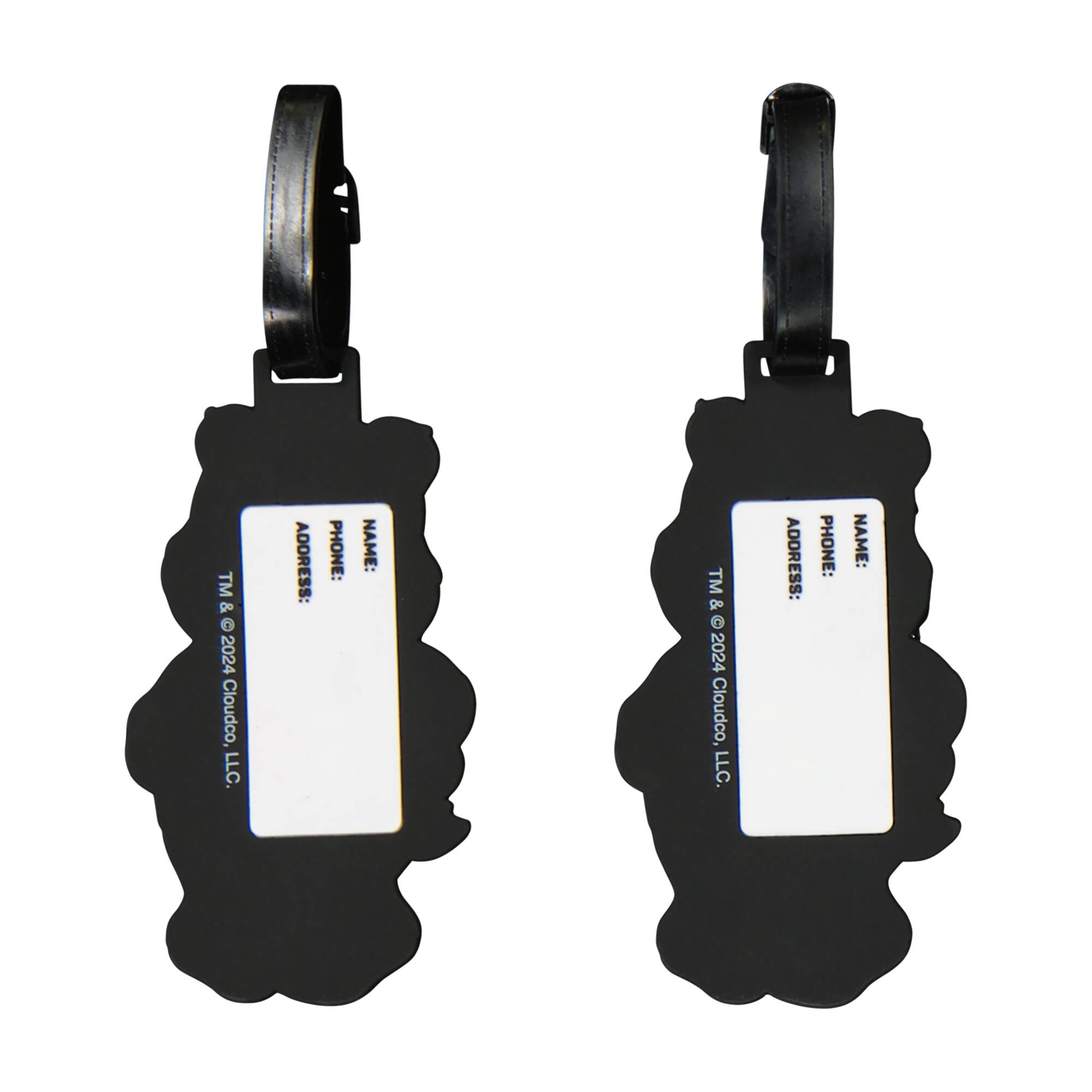 TM & © 2024 Cloudco, LLC.  
ADDRESS:  
PHONE:  
NAME:  

TM & © 2024 Cloudco, LLC.  
ADDRESS:  
PHONE:  
NAME: