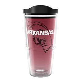 Tervis - Arkansas Razorbacks 24oz. Forever Fan Classic Tumbler - Multicolor