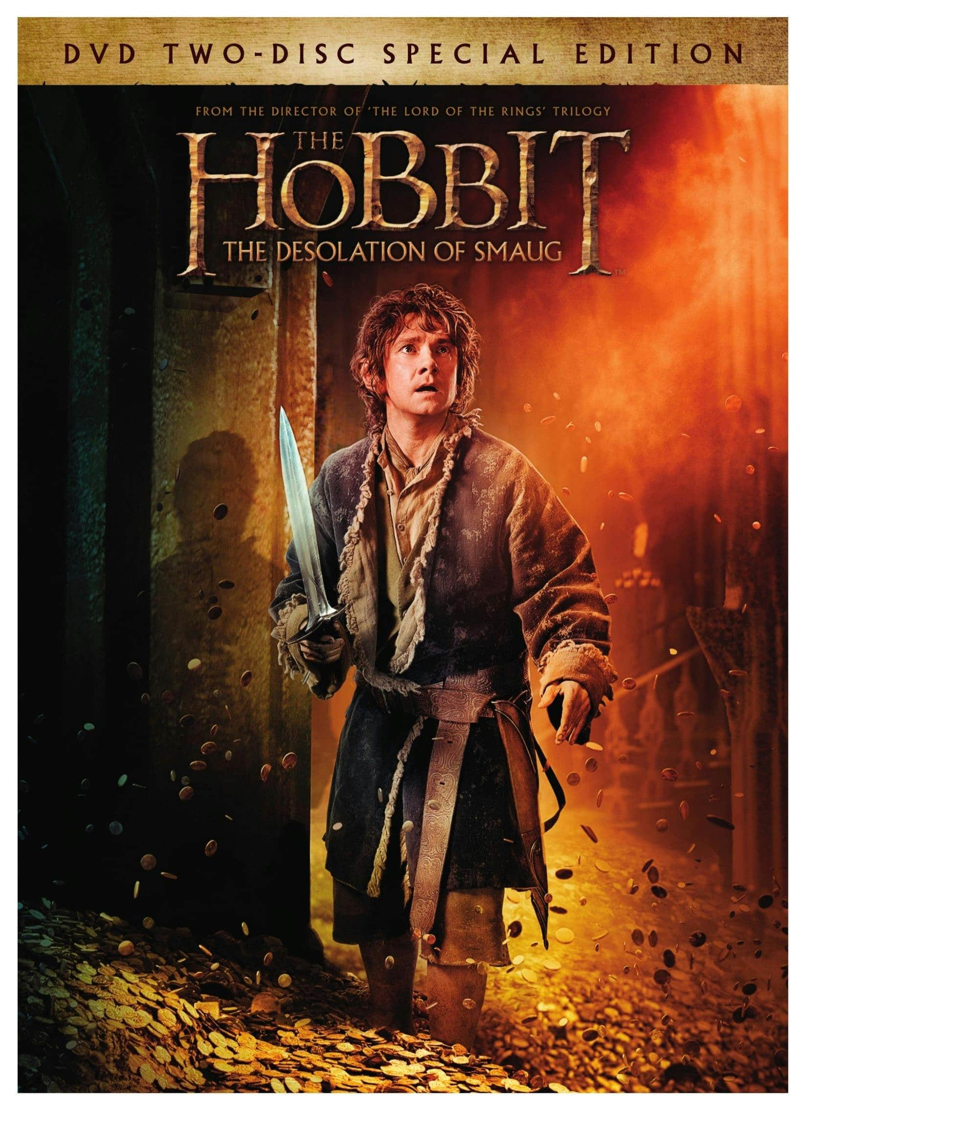 The Hobbit: The Desolation of Smaug (Special Edition) [DVD]