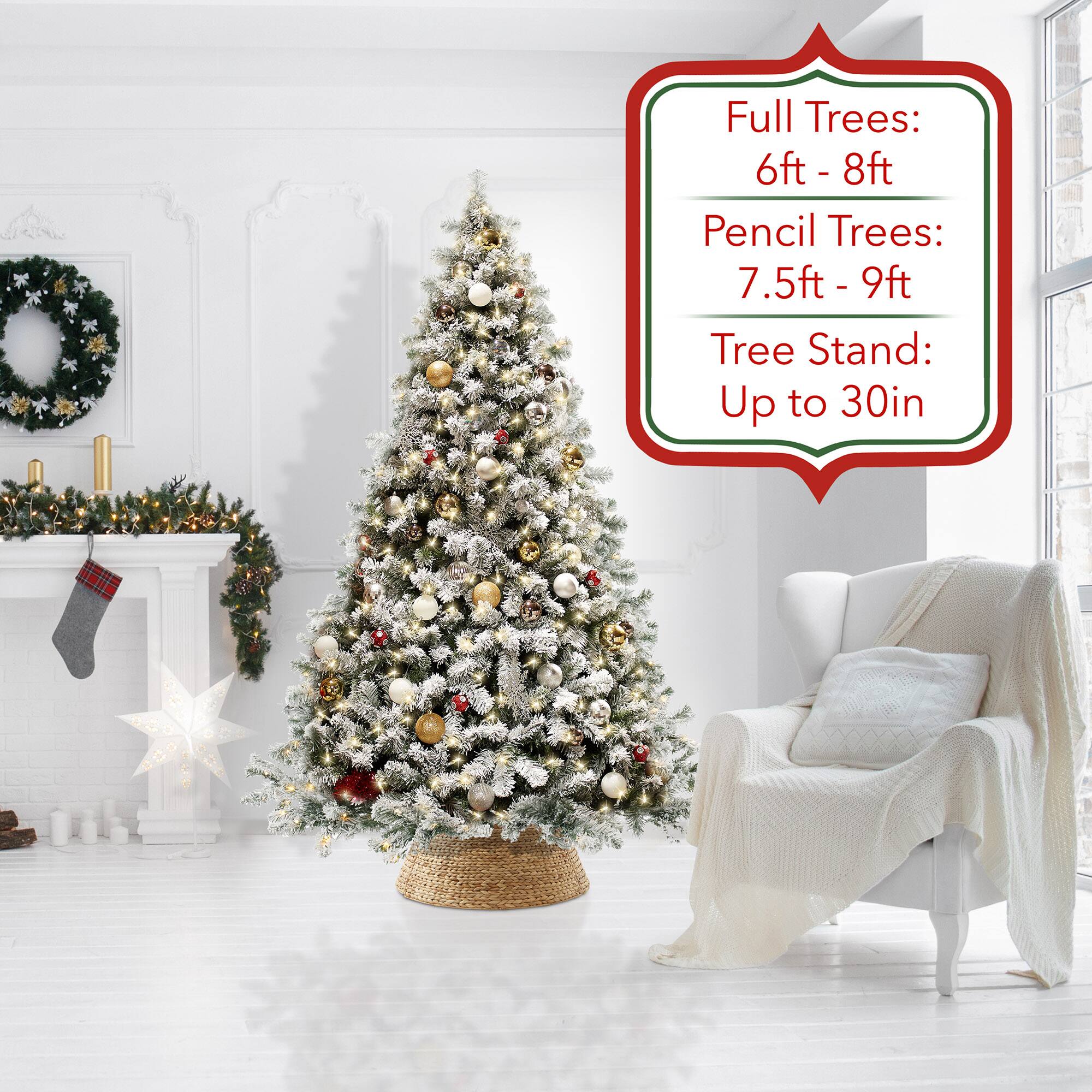 Full Trees: 6ft - 8ft  
Pencil Trees: 7.5ft - 9ft  
Tree Stand: Up to 30in