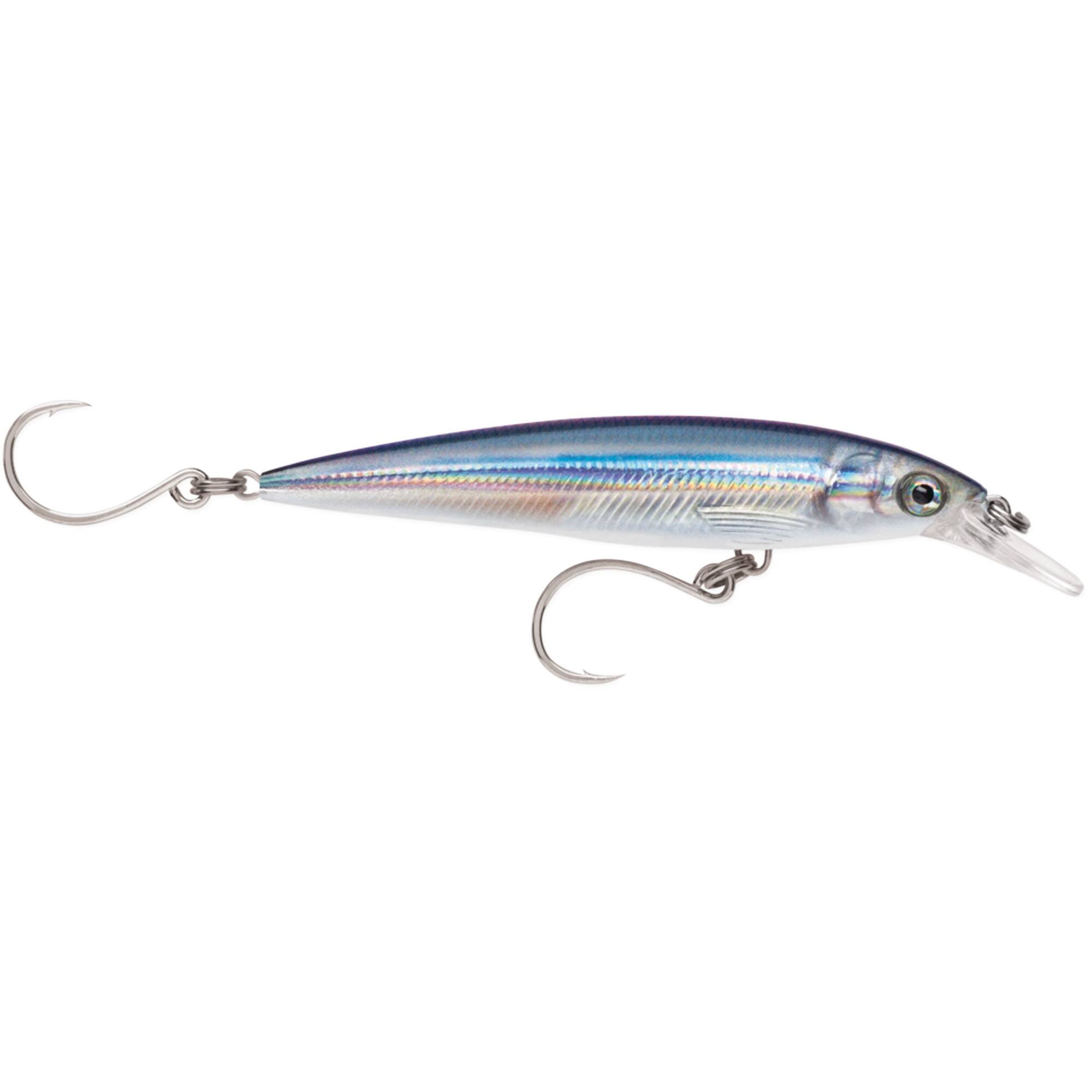 Anchovy