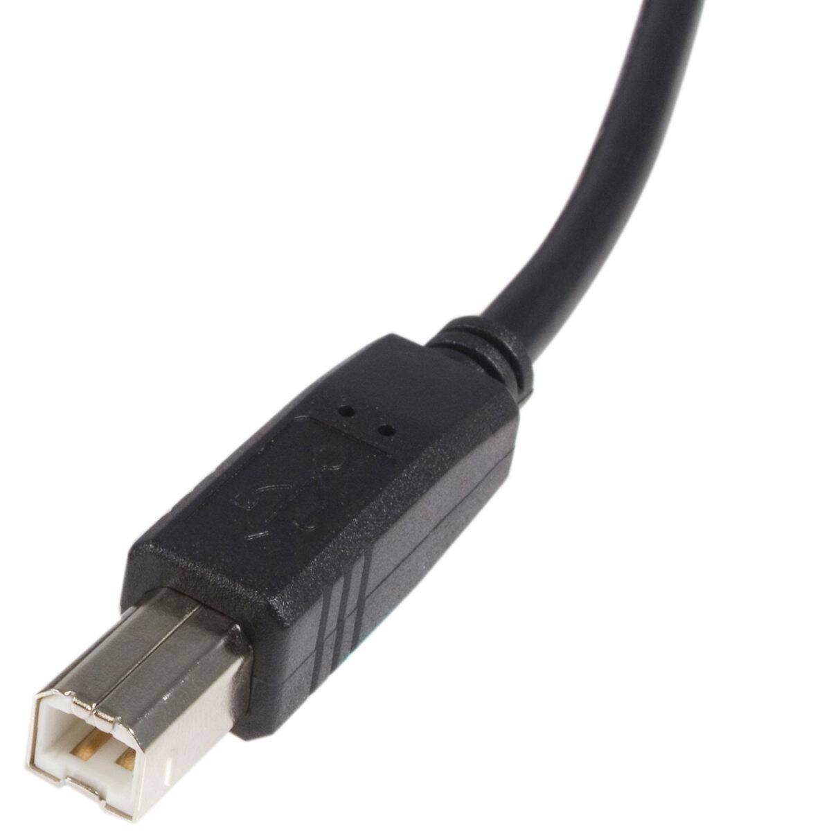 Alt View 2. StarTech.com - StarTech 6' USB 2.0 Certified A to B Cable, 24/28 AWG.