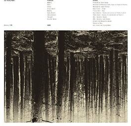 Low Flying Hawks - Genkaku - VINYL LP