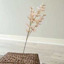 Angle. BreeBe - *Blushing Eucalyptus Spray - Brown.