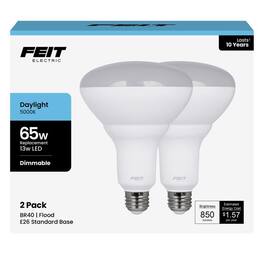 FEIT ELECTRIC - Feit BR40 E26 (Medium) LED Bulb Daylight 65 Watt Equivalence 2 pk