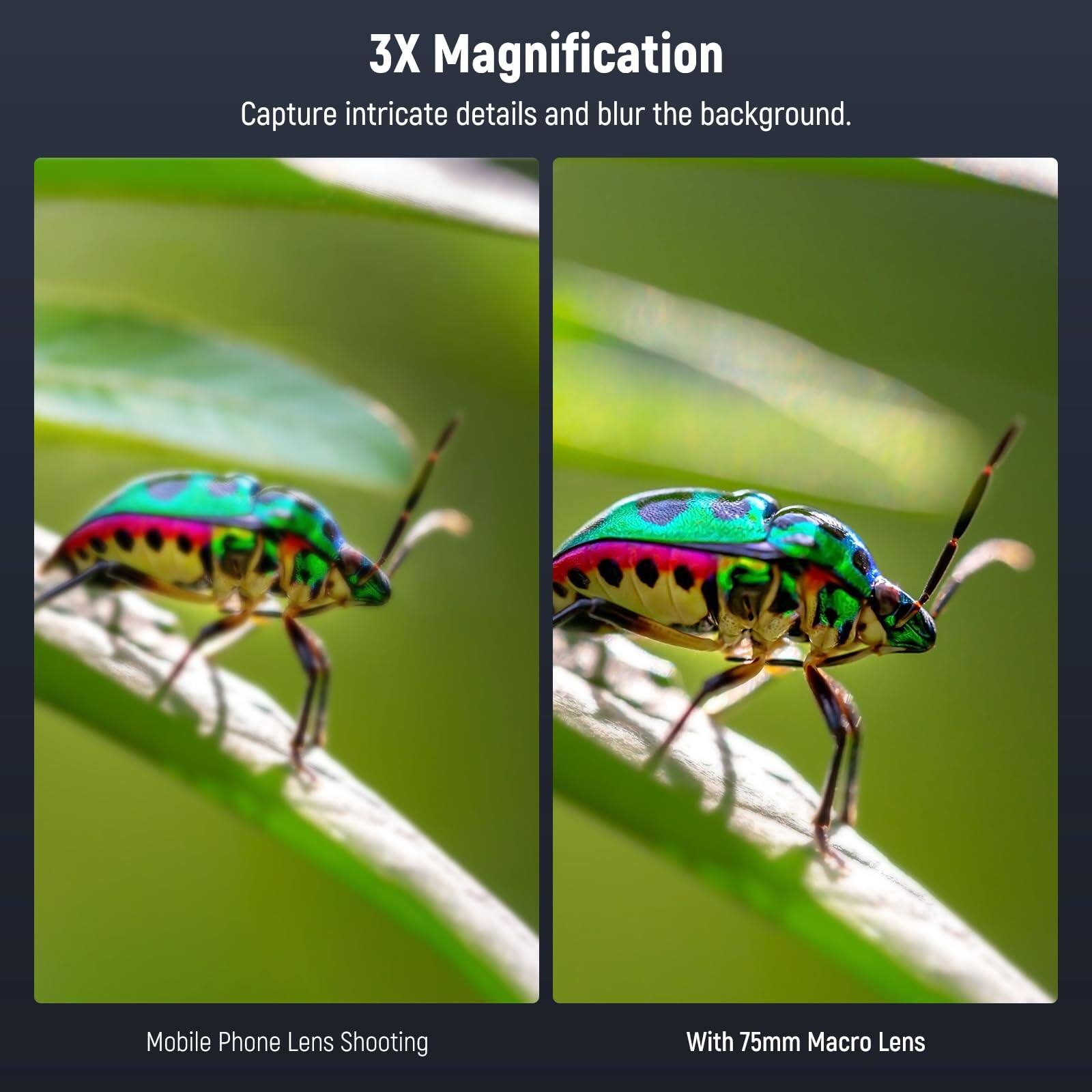3X Magnification  
Capture intricate details and blur the background.  

Mobile Phone Lens Shooting  
With 75mm Macro Lens