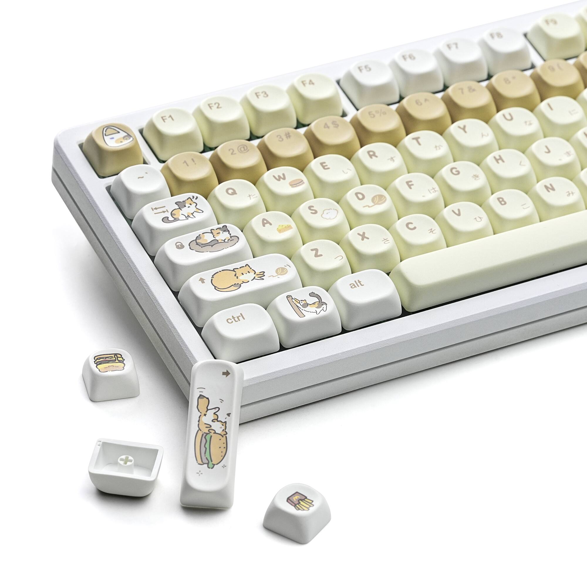 cutecat-137 Keys
