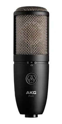 AKG - Wired P420 Multi-Pattern Studio Condenser Microphone - Black