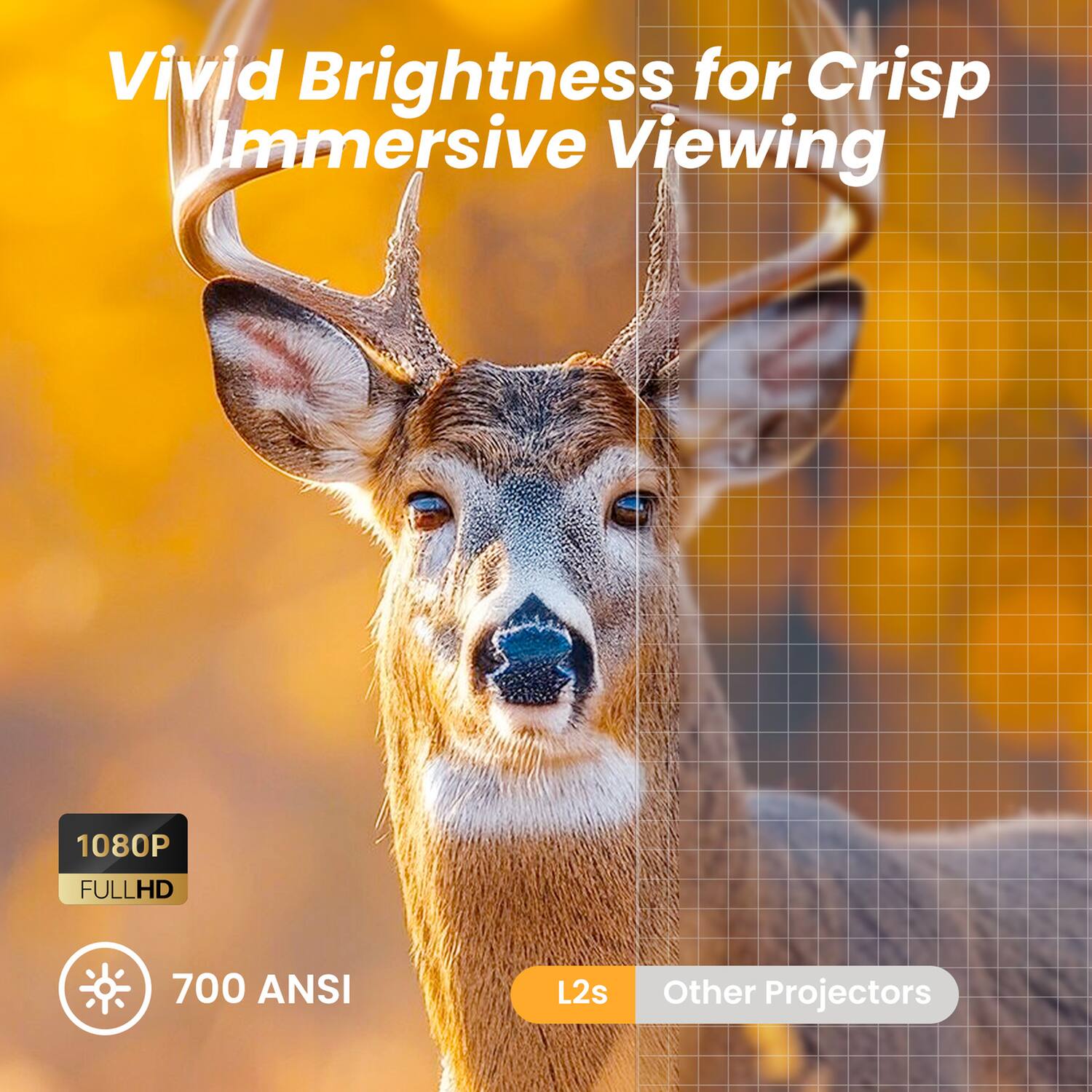 Vivid Brightness for Crisp Immersive Viewing

1080P FULLHD

700 ANSI

L2s

Other Projectors