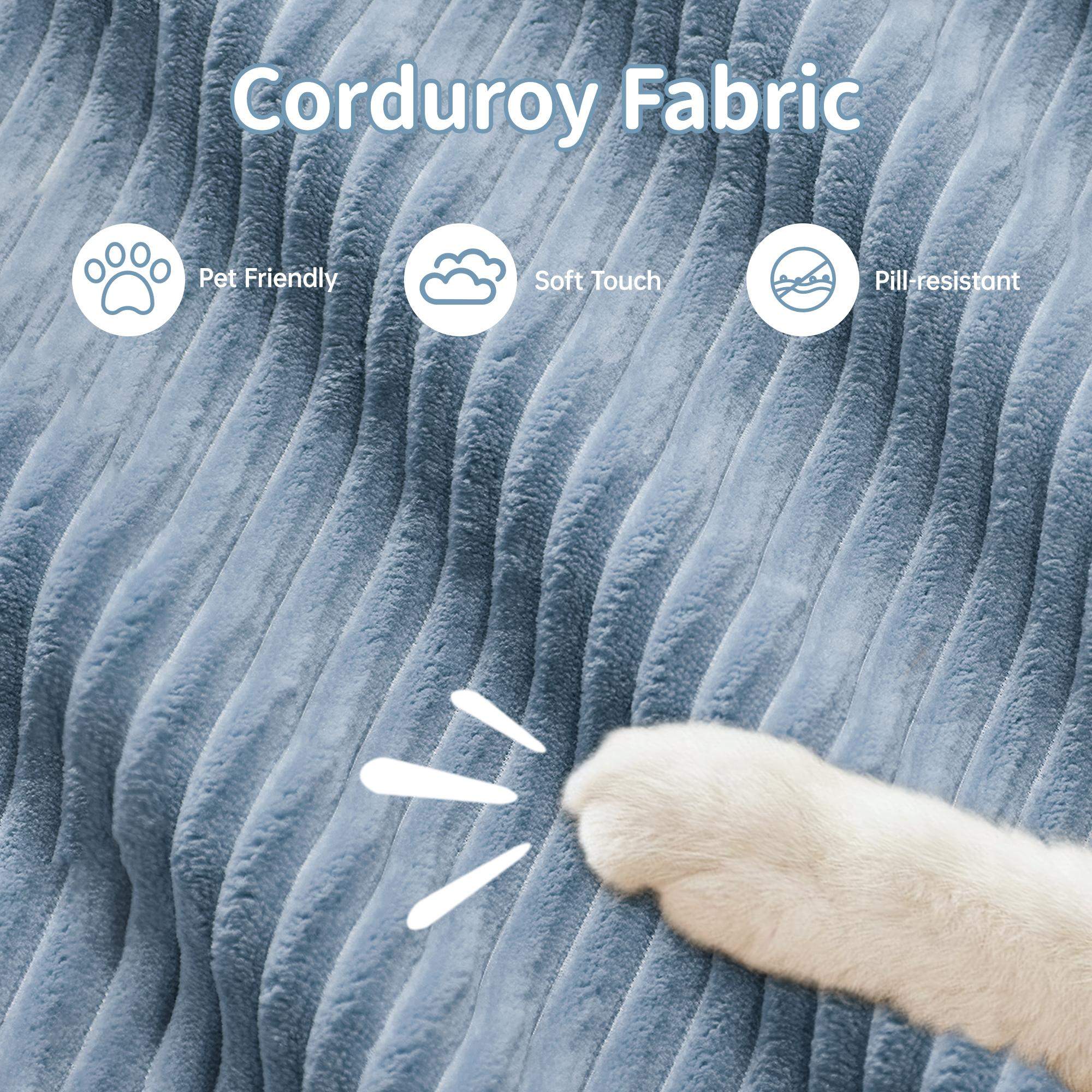 Corduroy Fabric

- Pet Friendly
- Soft Touch
- Pill-resistant