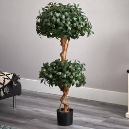 BreeBe - 4' Sweet Bay Double Ball Topiary Tree w/1036 Lvs - Green