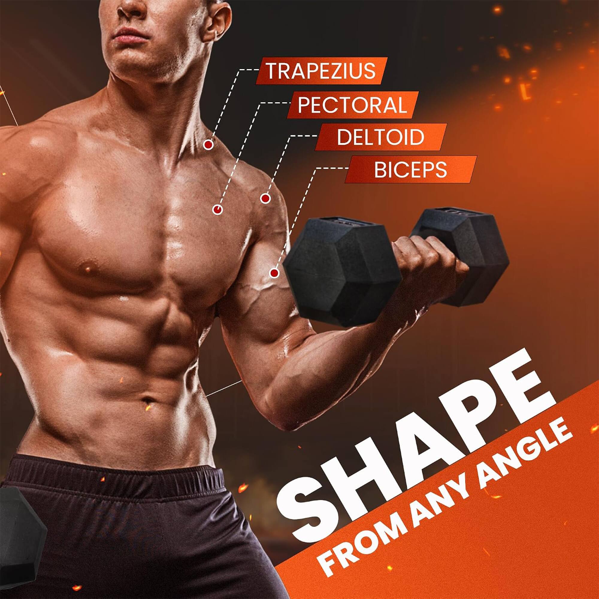 TRAPezius  
Pectoral  
Deltoid  
Biceps  
Shape from any angle