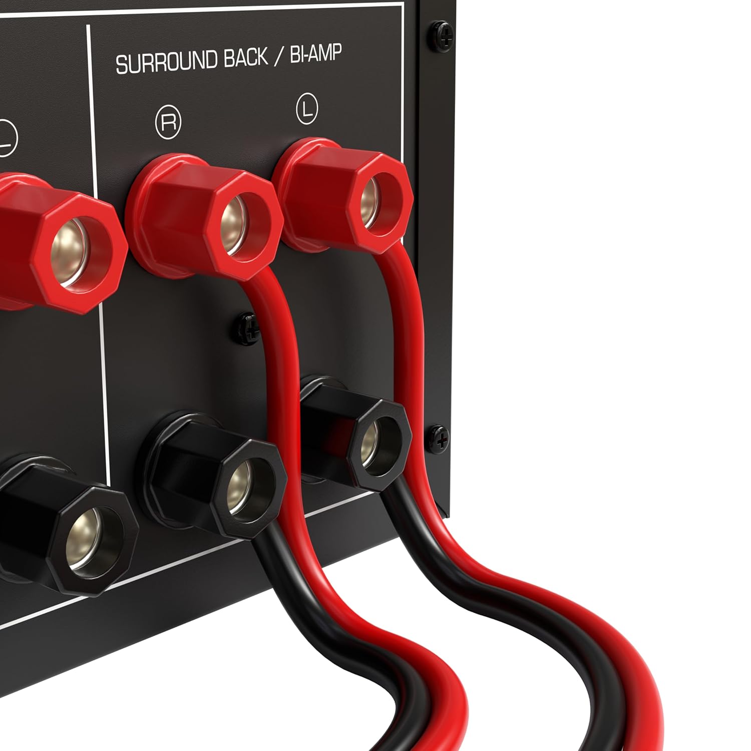 SURROUND BACK / BI-AMP  
R  
L