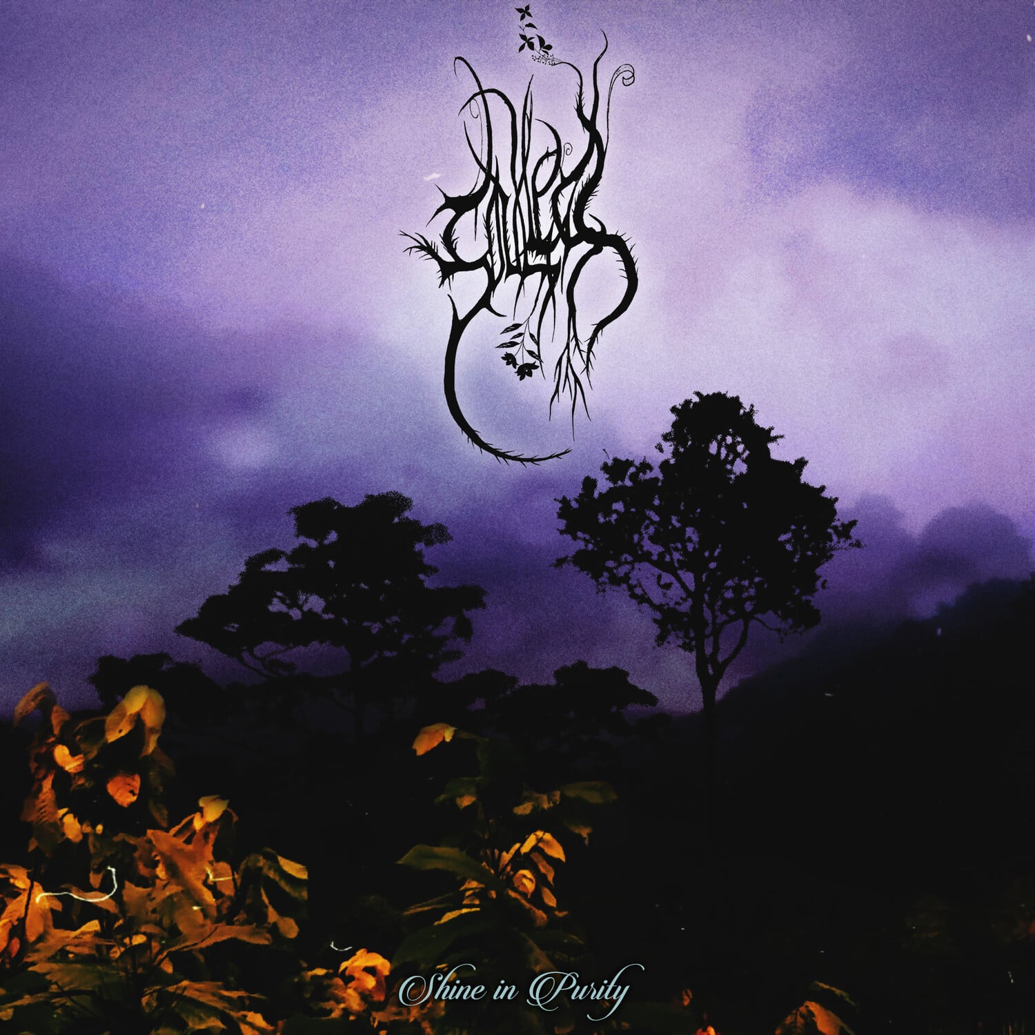 The Soulless - Shine In Purity   - COMPACT DISCS [CD] price history on PriceWatchPro