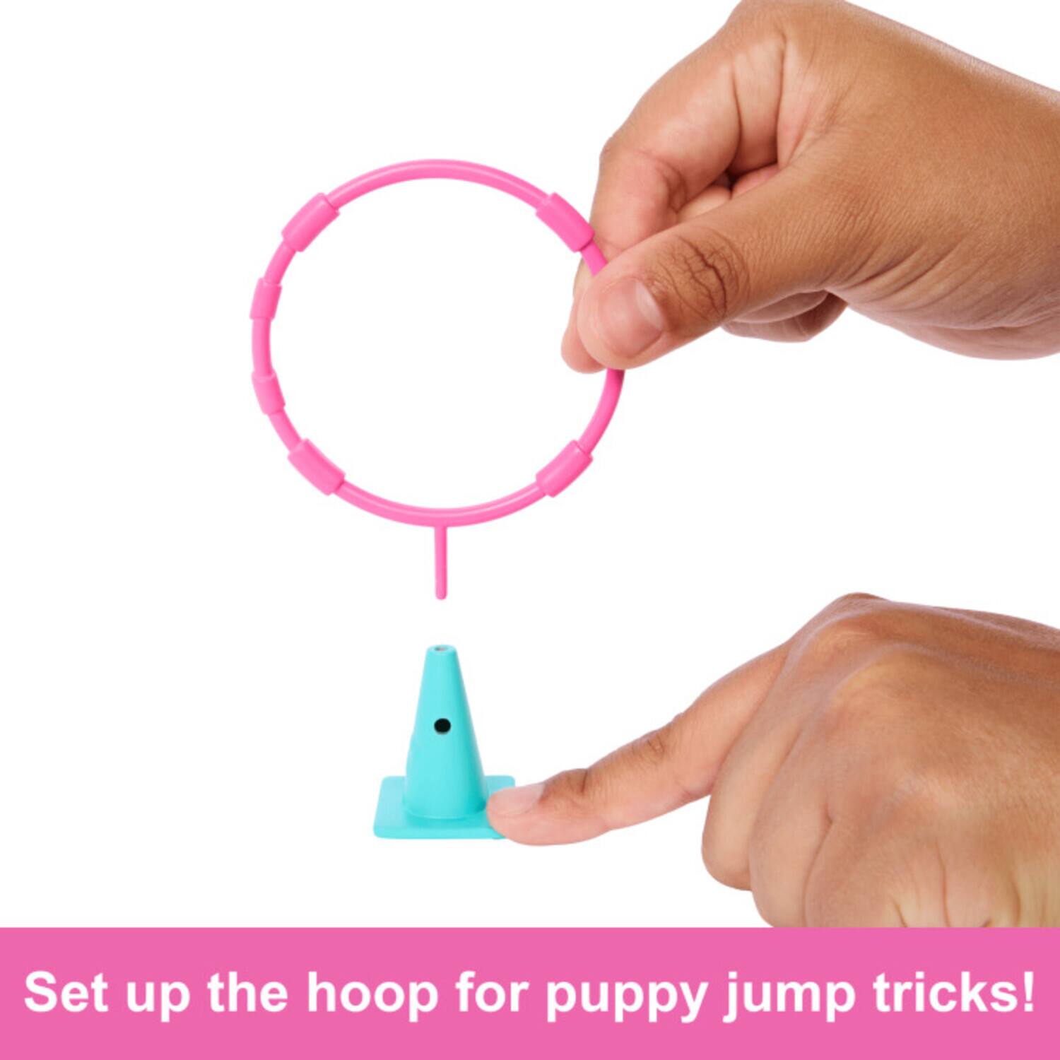 Set up the hoop for puppy jump tricks!