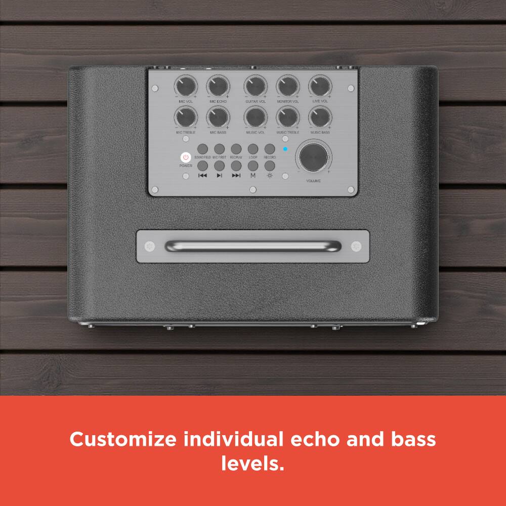 Customize individual echo and bass levels.