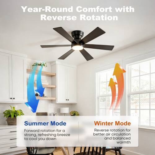 Year-Round Comfort with Reverse Rotation

Summer Mode
Forward rotation for a strong, refreshing breeze to cool you down

Winter Mode
Reverse rotation for better air circulation and balanced warmth