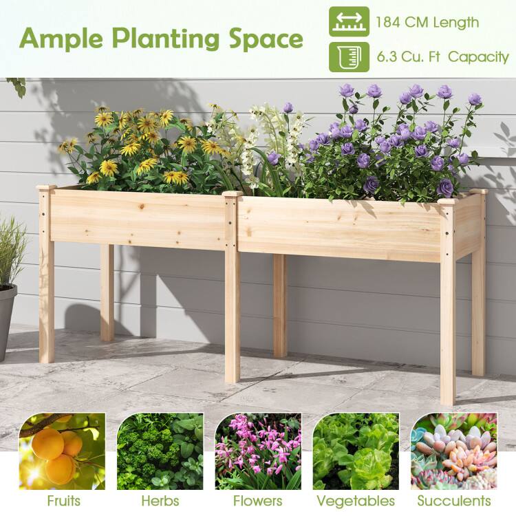 Ample Planting Space  
184 CM Length  
6.3 Cu. Ft Capacity  

Fruits  
Herbs  
Flowers  
Vegetables  
Succulents