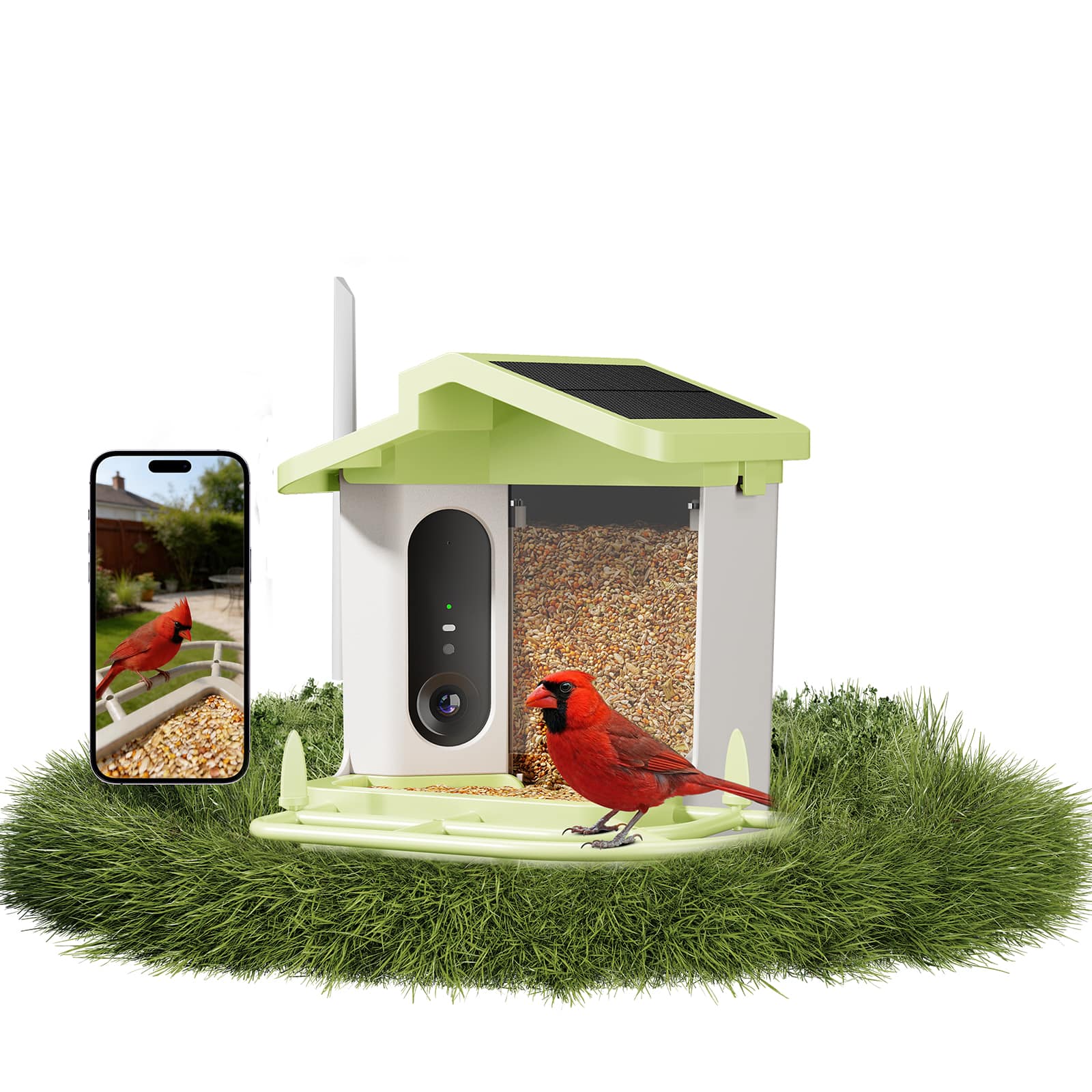 Thymix - Smart Bird Feeder with Camera, 4K Night Vision, AI Bird ID, Low Food Alert, Solar Panel, Squirrel Deterrent - Green price history on PriceWatchPro