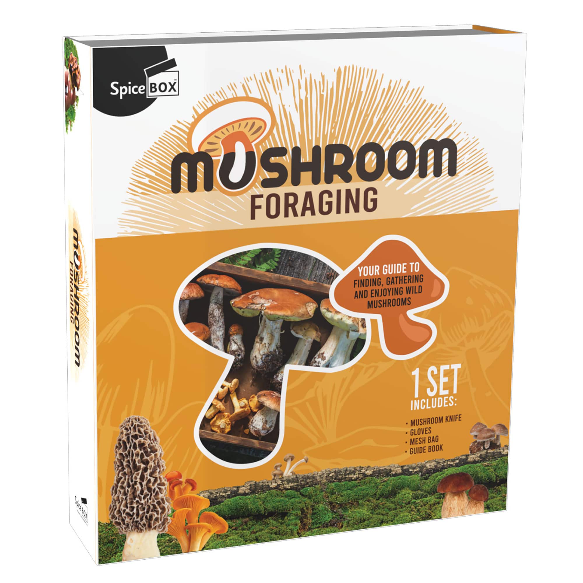 Spice Box - Gift Box: Mushroom Foraging