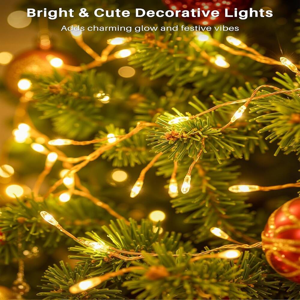 Bright & Cute Decorative Lights  
Adds charming glow and festive vibes
