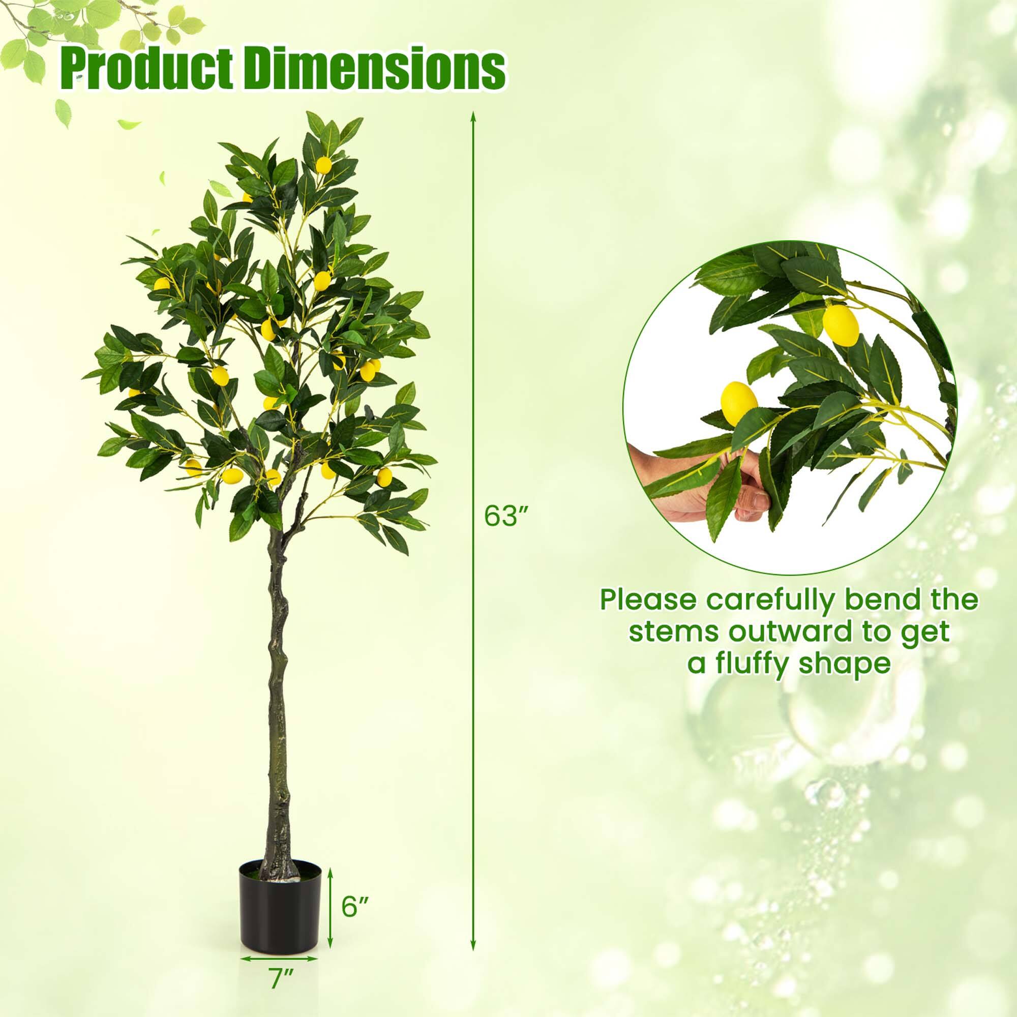 Product Dimensions: 63" tall, 6" wide, 7" deep. Please carefully bend the stems outward to get a fluffy shape.