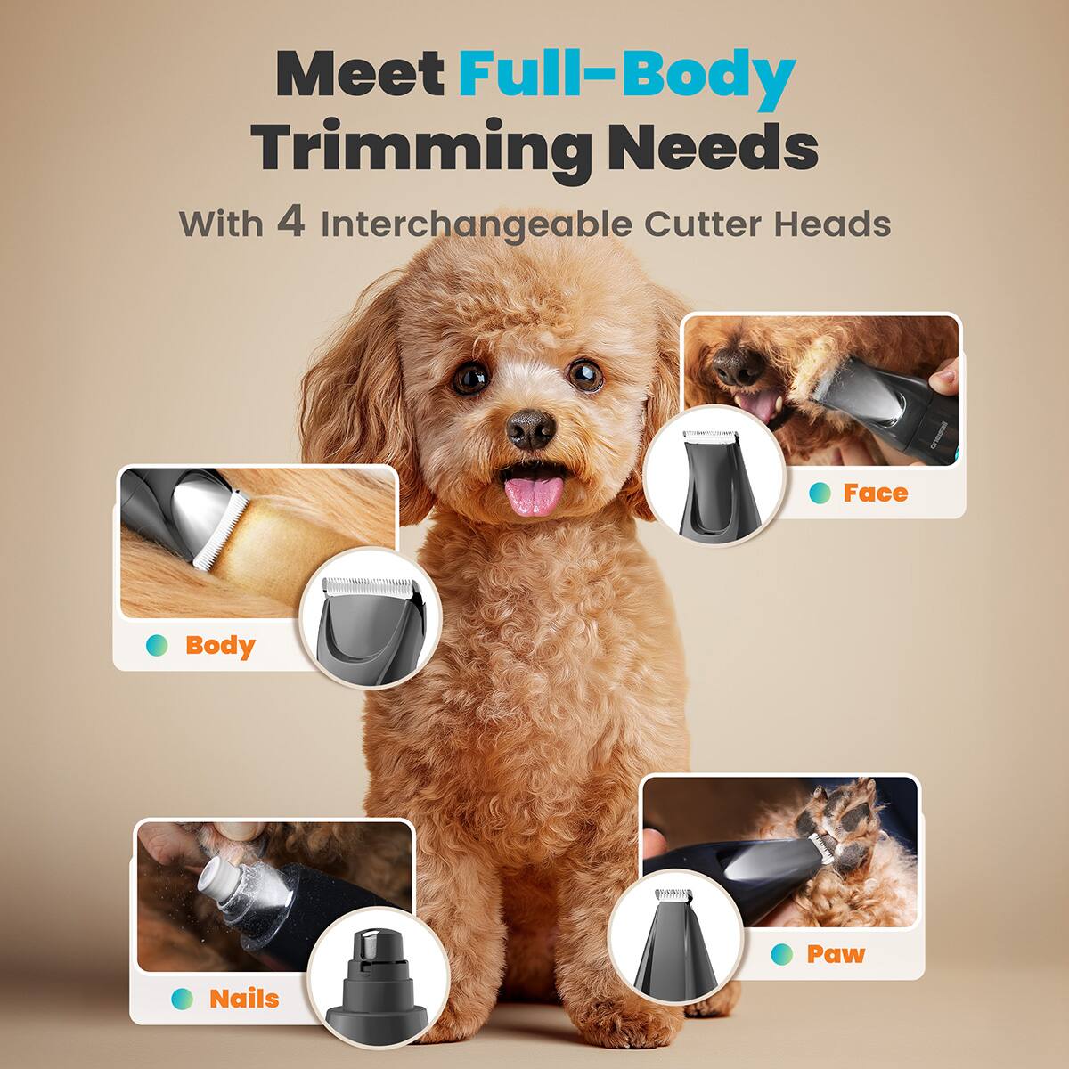 Meet Full-Body Trimming Needs  
With 4 Interchangeable Cutter Heads  

- Body
- Face
- Nails
- Paw