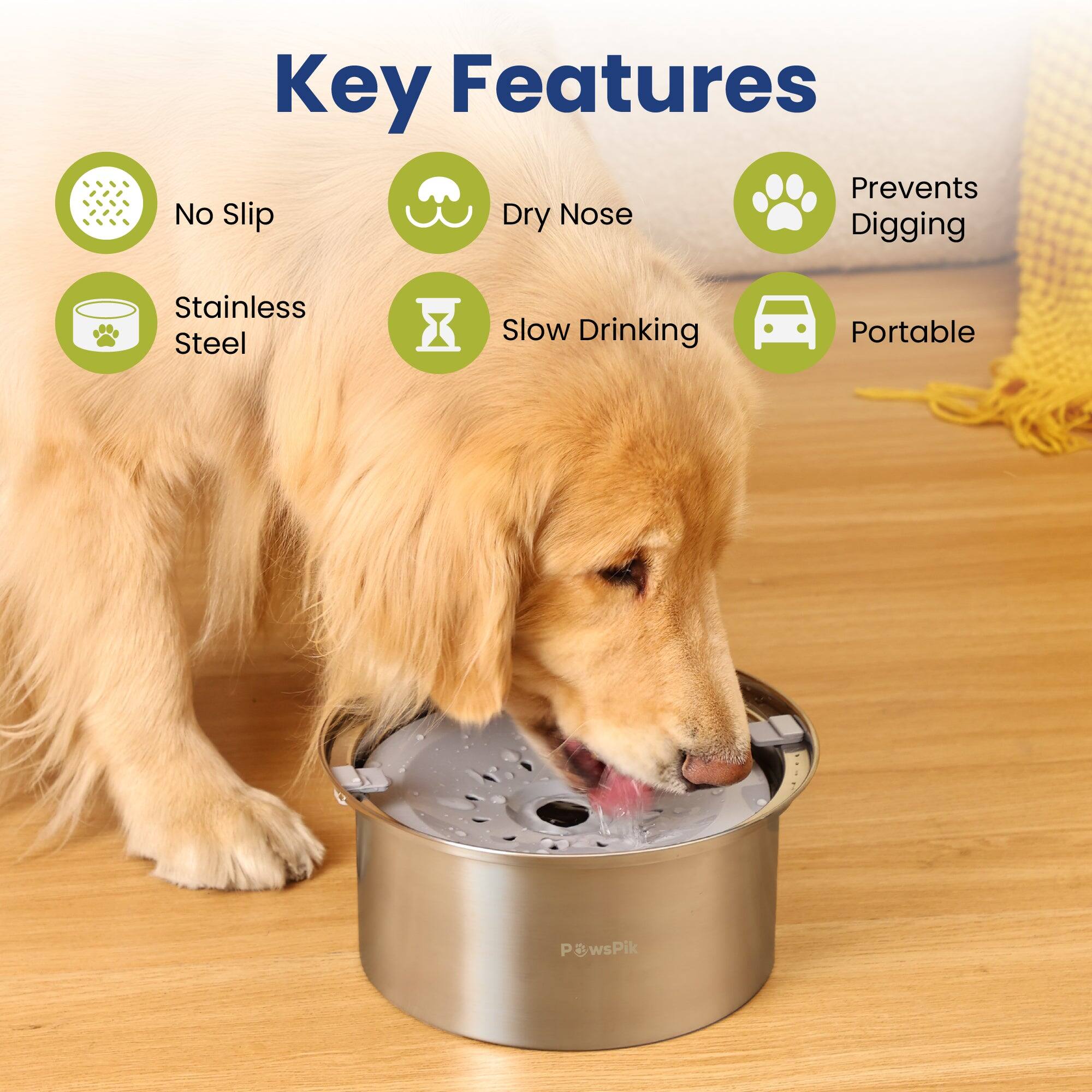 Key Features:  
- No Slip  
- Dry Nose  
- Prevents Digging  
- Stainless Steel  
- Slow Drinking  
- Portable