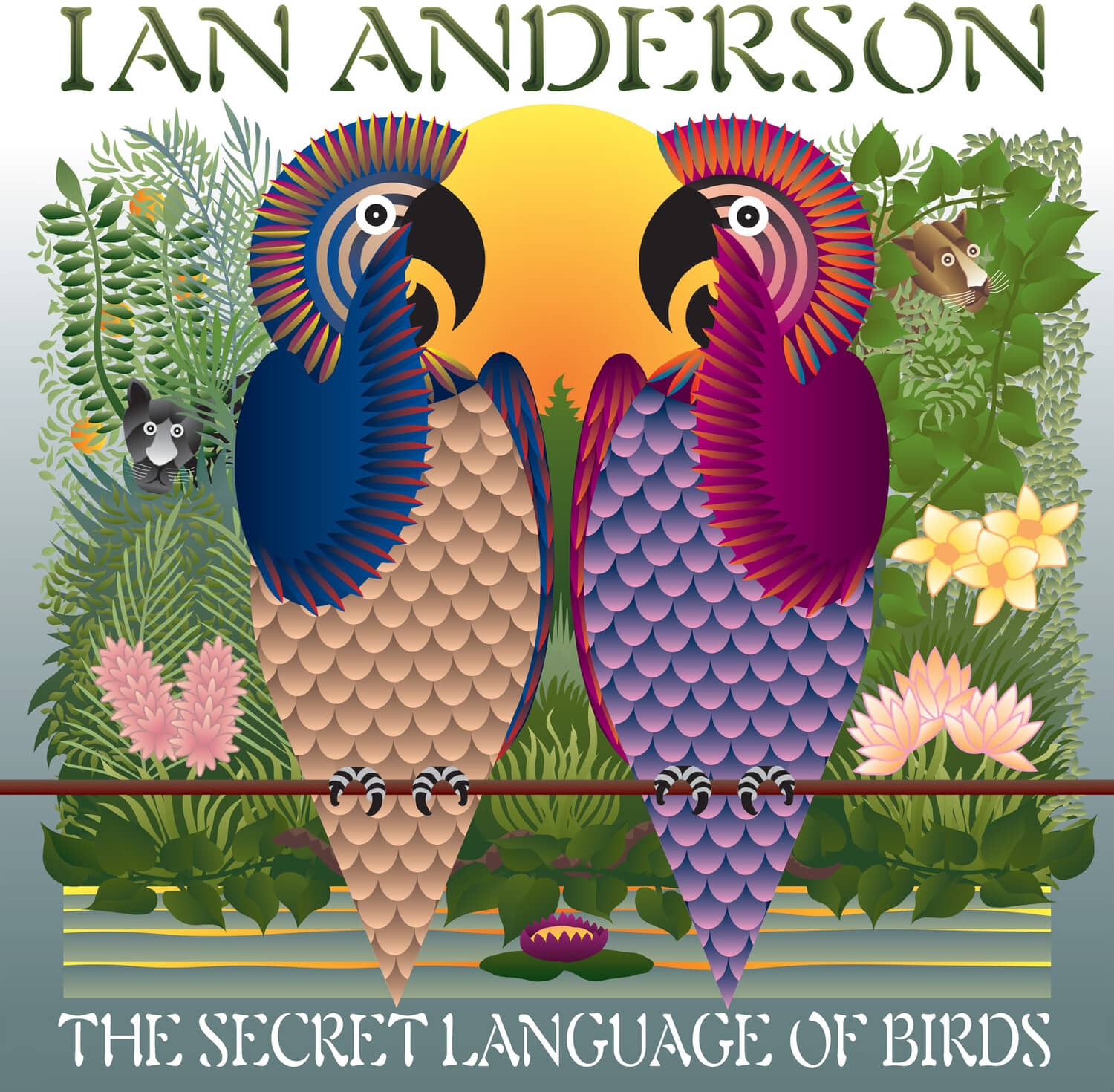 Ian Anderson - The Secret Language Of Birds   - VINYL LP price history on PriceWatchPro