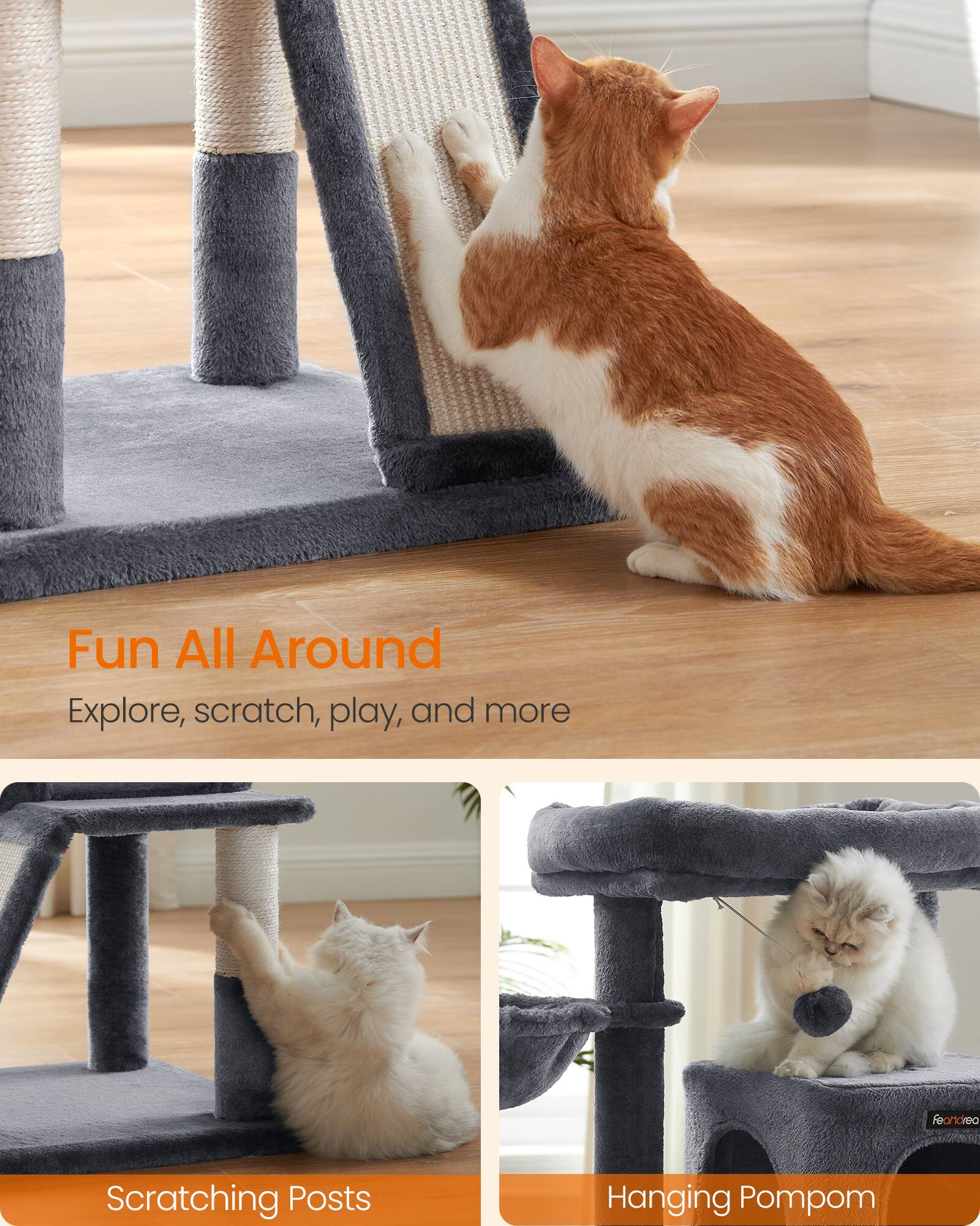Fun All Around  
Explore, scratch, play, and more

Feandrea  
Scratching Posts  
Hanging Pompom