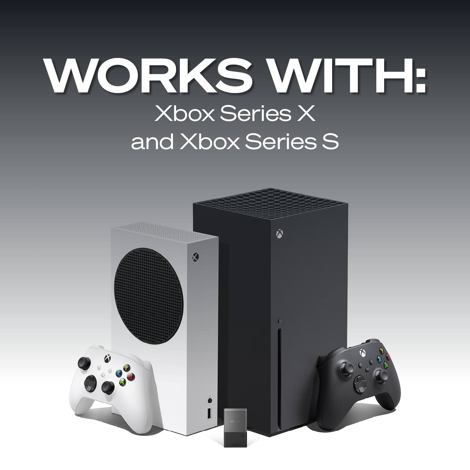 WORKS WITH:  
Xbox Series X and Xbox Series S