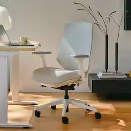 Branch Furniture - Ergonomic Chair Pro – Premium Office Seating with 7 Points of Adjustment & Dynamic Lumbar Support - White / Limestone