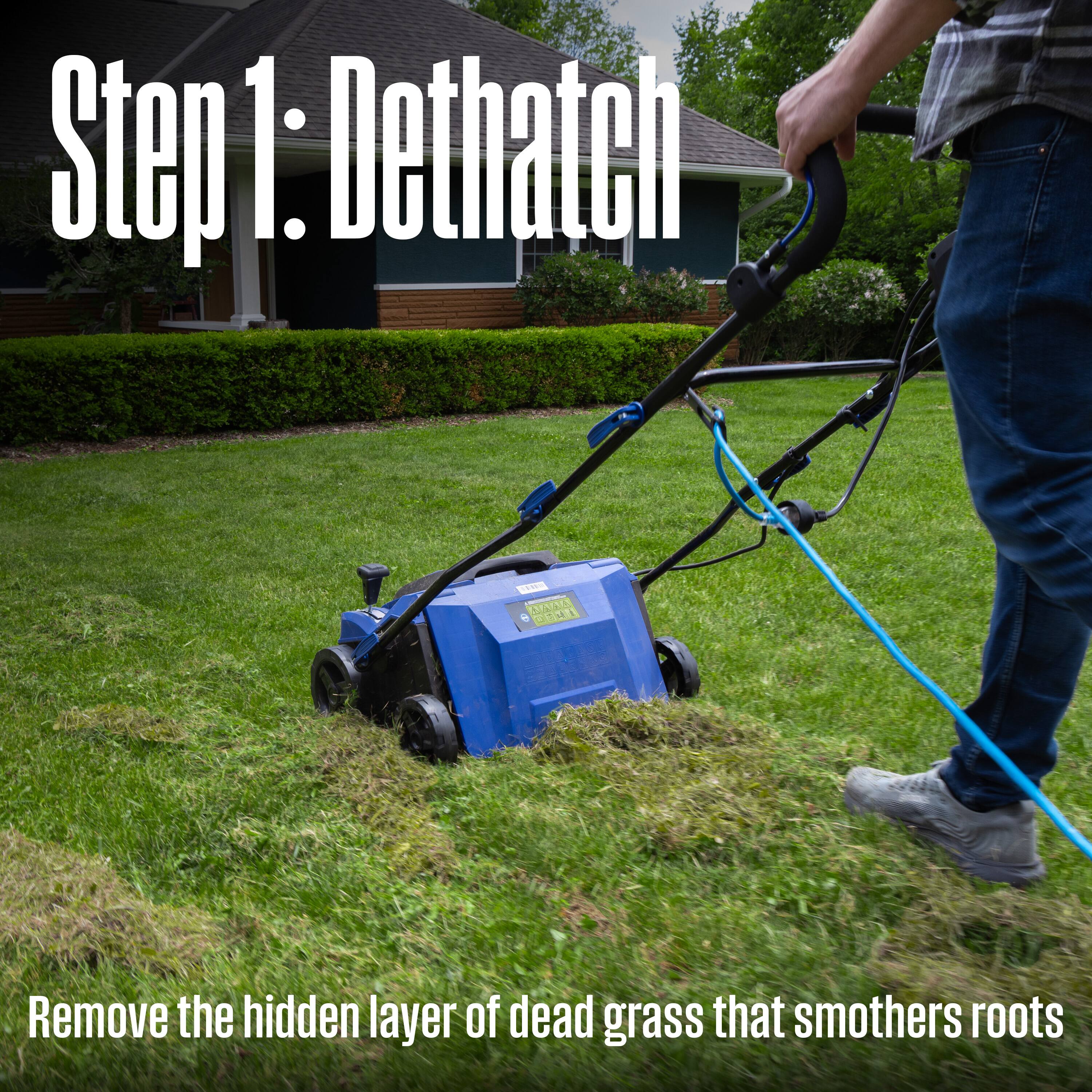 Step 1: Dethatch

Remove the hidden layer of dead grass that smothers roots