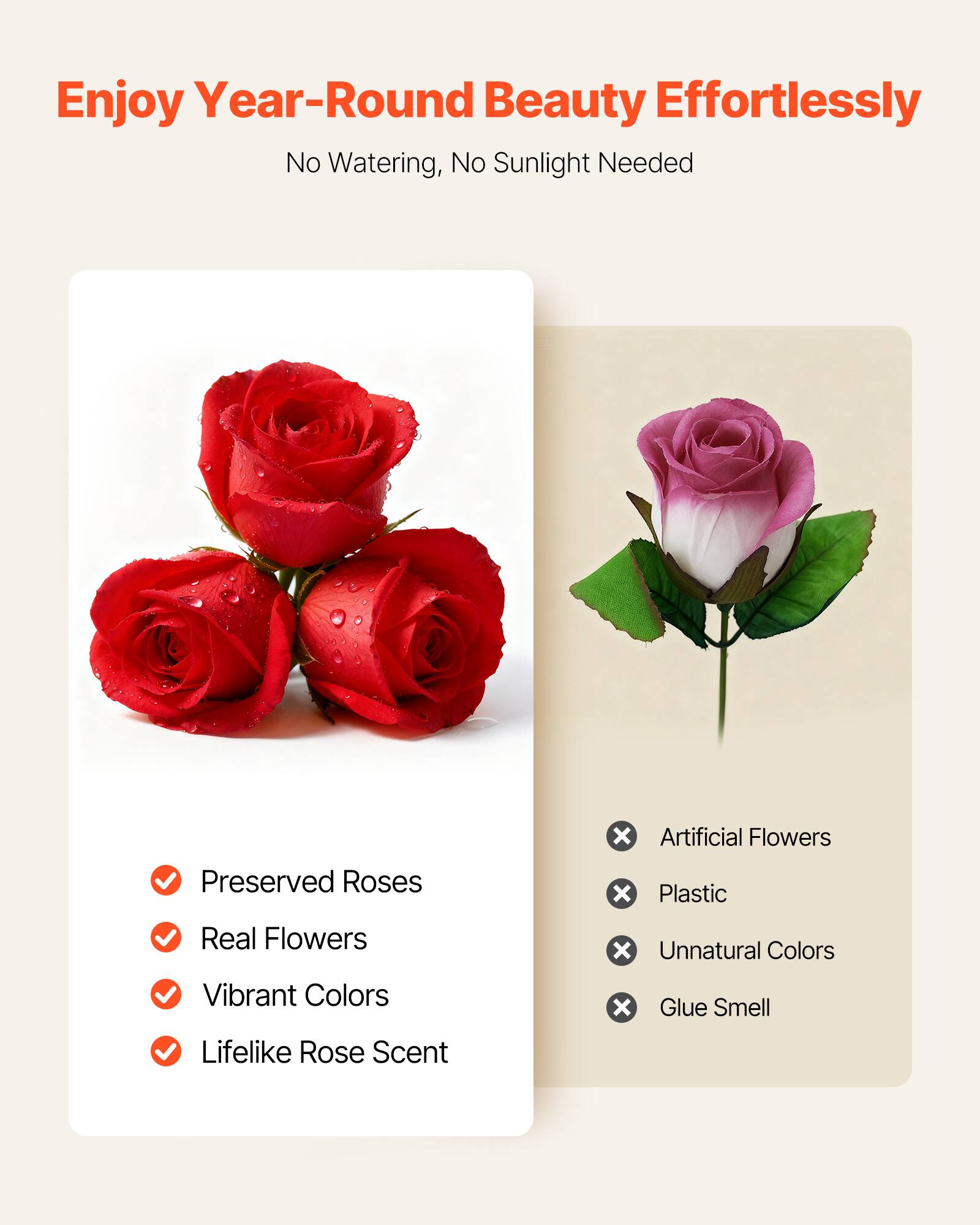 Enjoy Year-Round Beauty Effortlessly  
No Watering, No Sunlight Needed  

- Preserved Roses  
- Real Flowers  
- Vibrant Colors  
- Lifelike Rose Scent  

- Artificial Flowers  
- Plastic  
- Unnatural Colors  
- Glue Smell