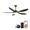 Front. Parrot Uncle - 52" Antique Brass Smart Ceiling Fan with Light and Remote, App Control, Voice Control - Black.