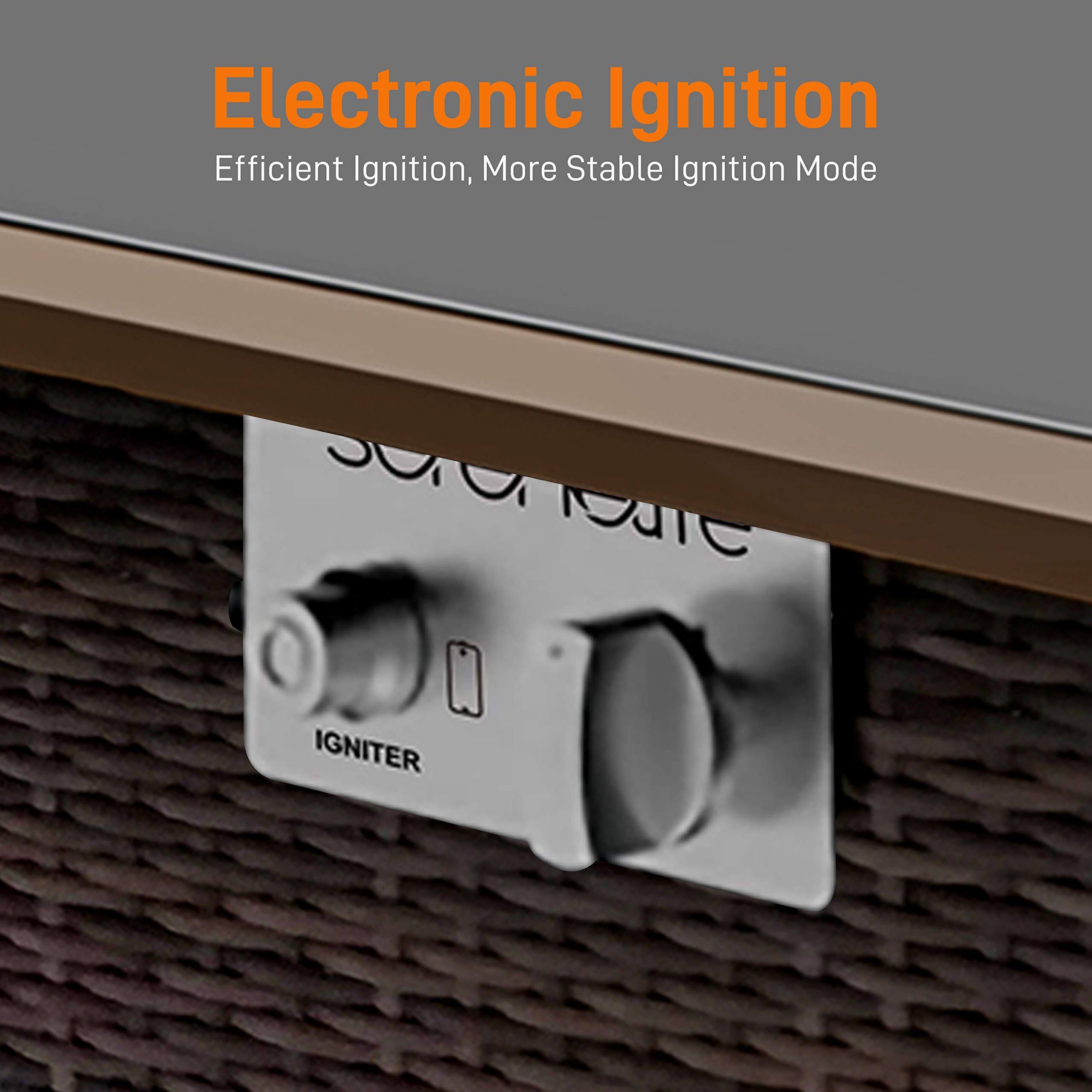 Electronic Ignition  
Efficient Ignition, More Stable Ignition Mode  

IGNITER
