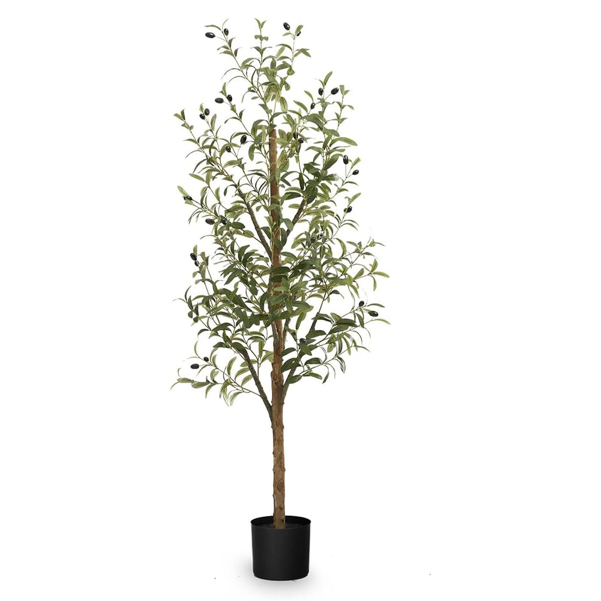 Maia Shop - Olive Tree 5 Foot Faux Plant, Fake Silk Tree with Realistic Leaves - Green