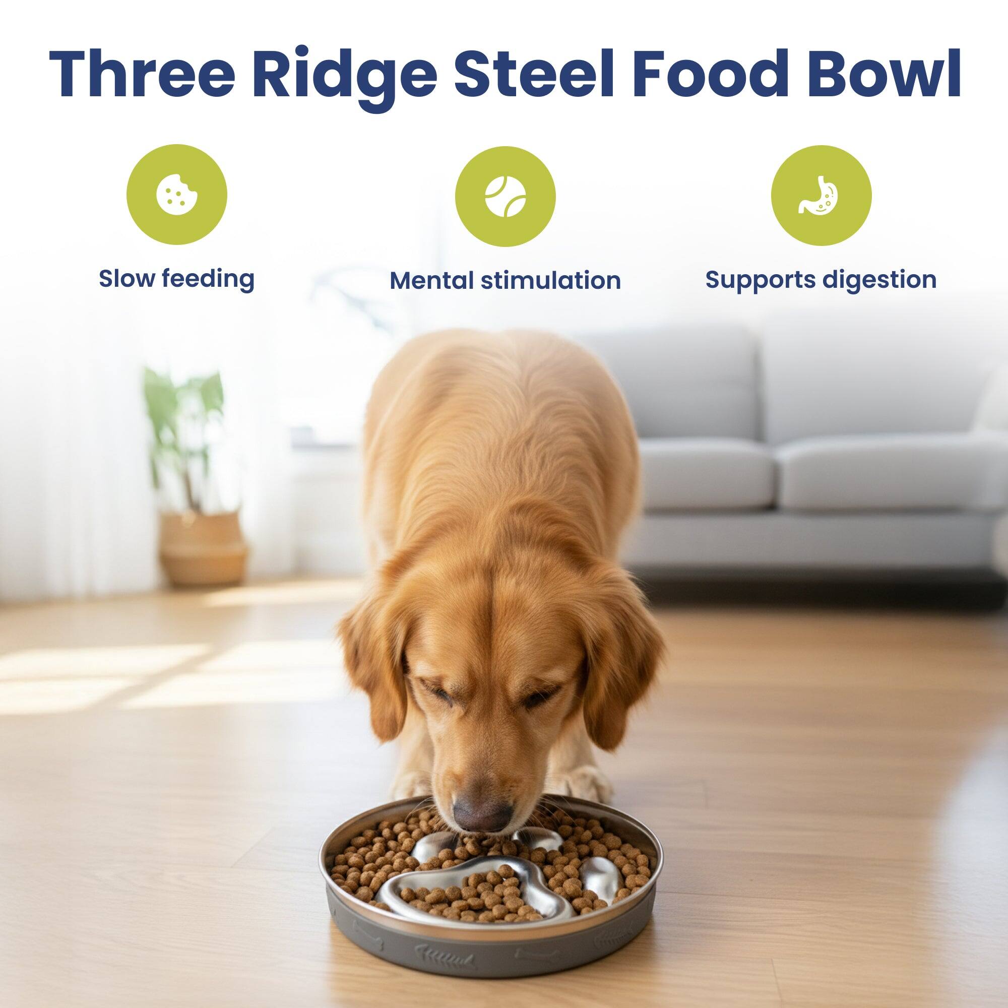 Three Ridge Steel Food Bowl

- Slow feeding
- Mental stimulation
- Supports digestion
