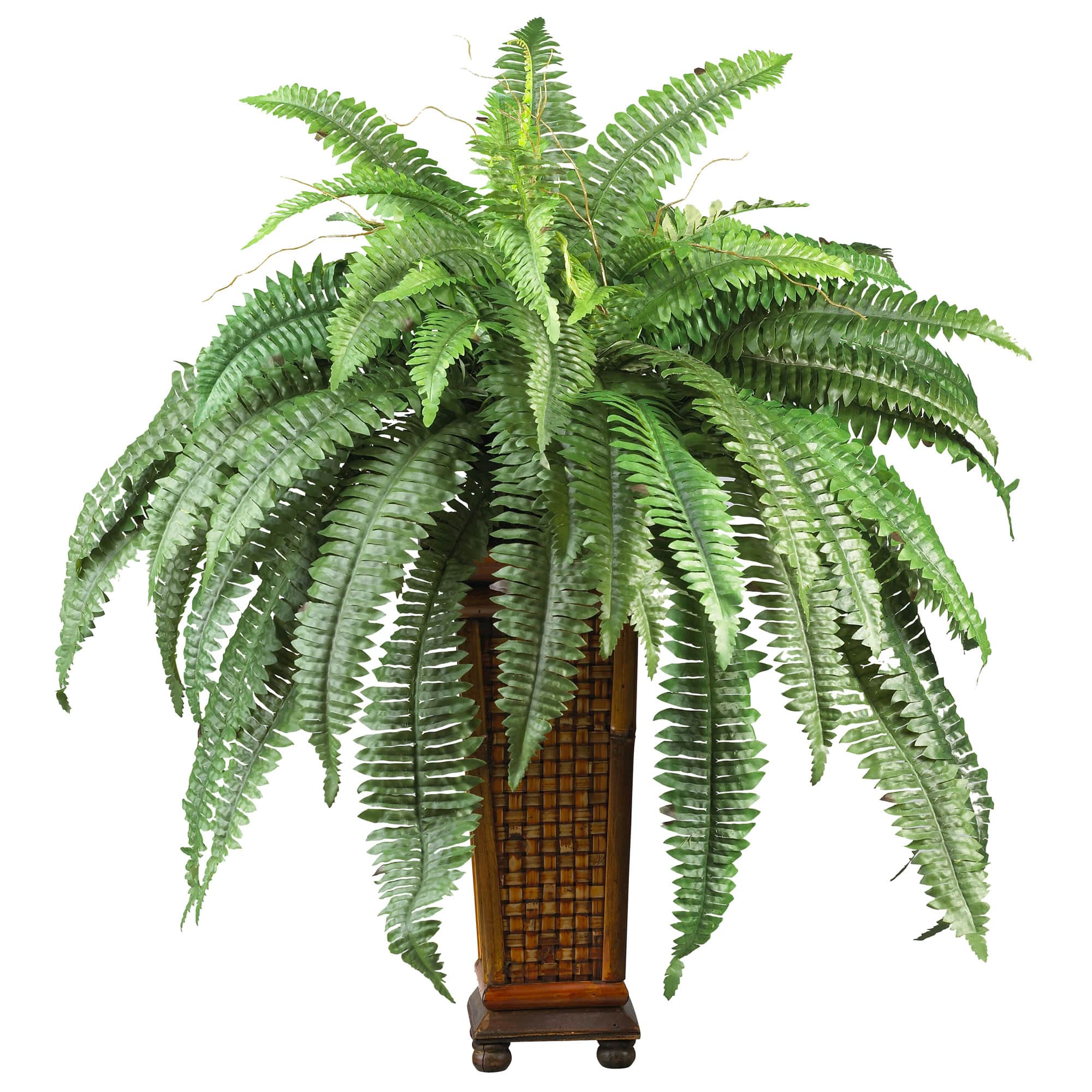BreeBe - Boston Fern w/Decorative Wood Vase - Green