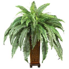 BreeBe - Boston Fern w/Decorative Wood Vase - Green
