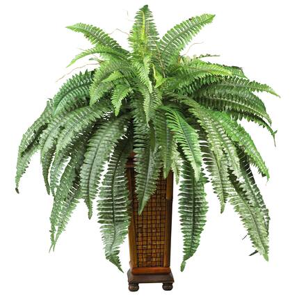 Front. BreeBe - Boston Fern w/Decorative Wood Vase - Green.