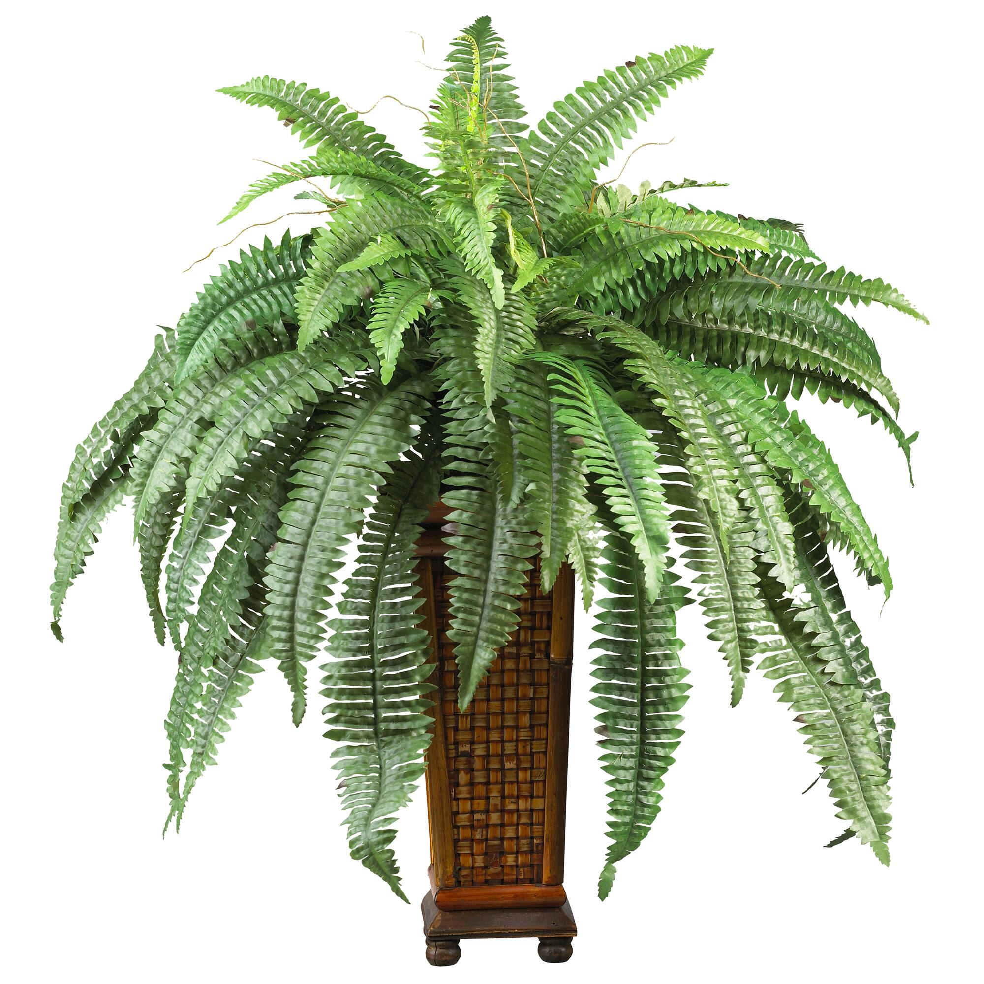 Front. BreeBe - Boston Fern w/Decorative Wood Vase - Green.