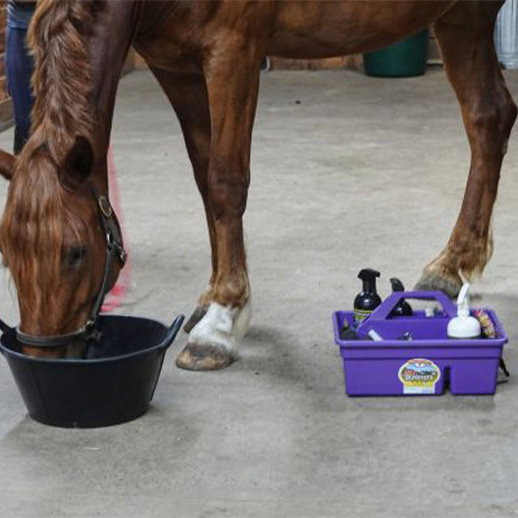 Alt View 4. Little Giant - Little Giant DuraTote Plastic Box Organizer w/2 Compartments & Handle, Purple - Purple.