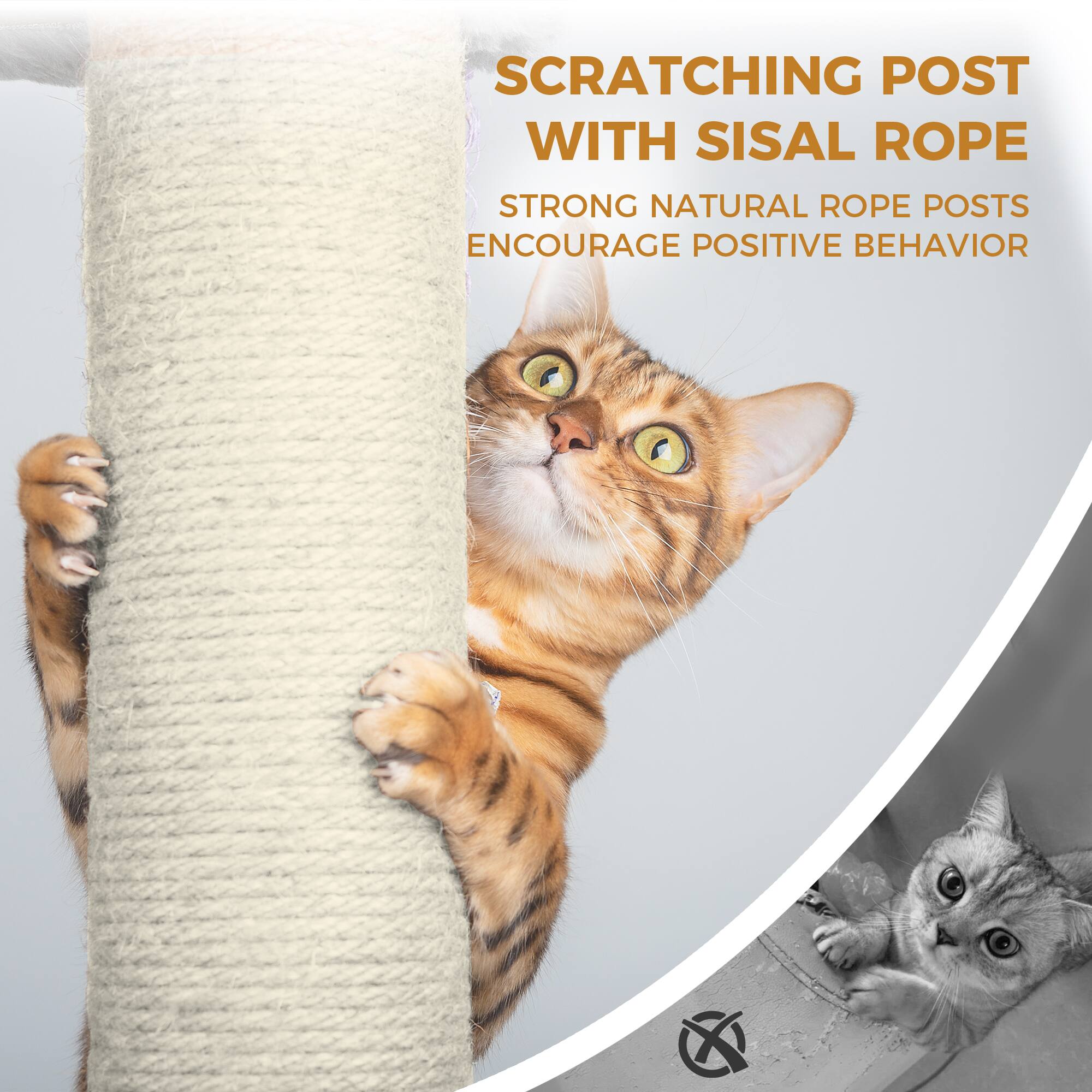 SCRATCHING POST WITH SISAL ROPE  
STRONG NATURAL ROPE POSTS ENCOURAGE POSITIVE BEHAVIOR