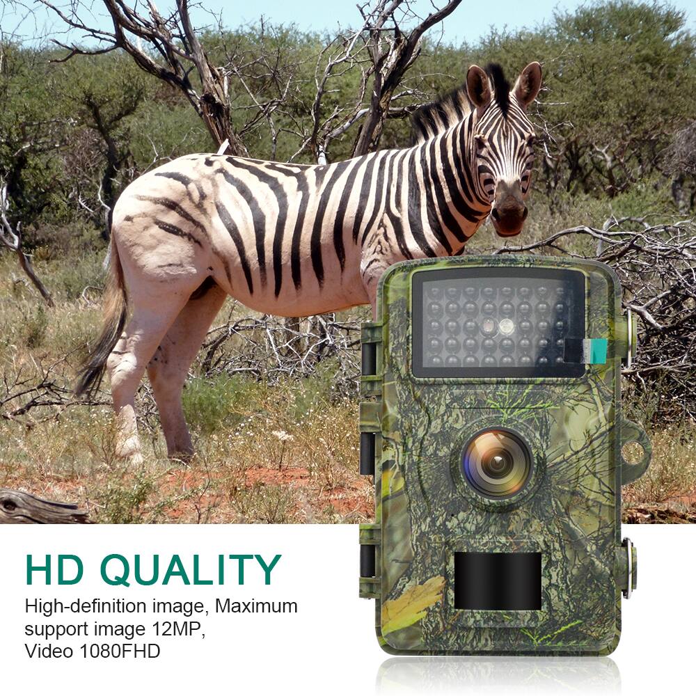 HD QUALITY  
High-definition image, Maximum support image 12MP, Video 1080FHD