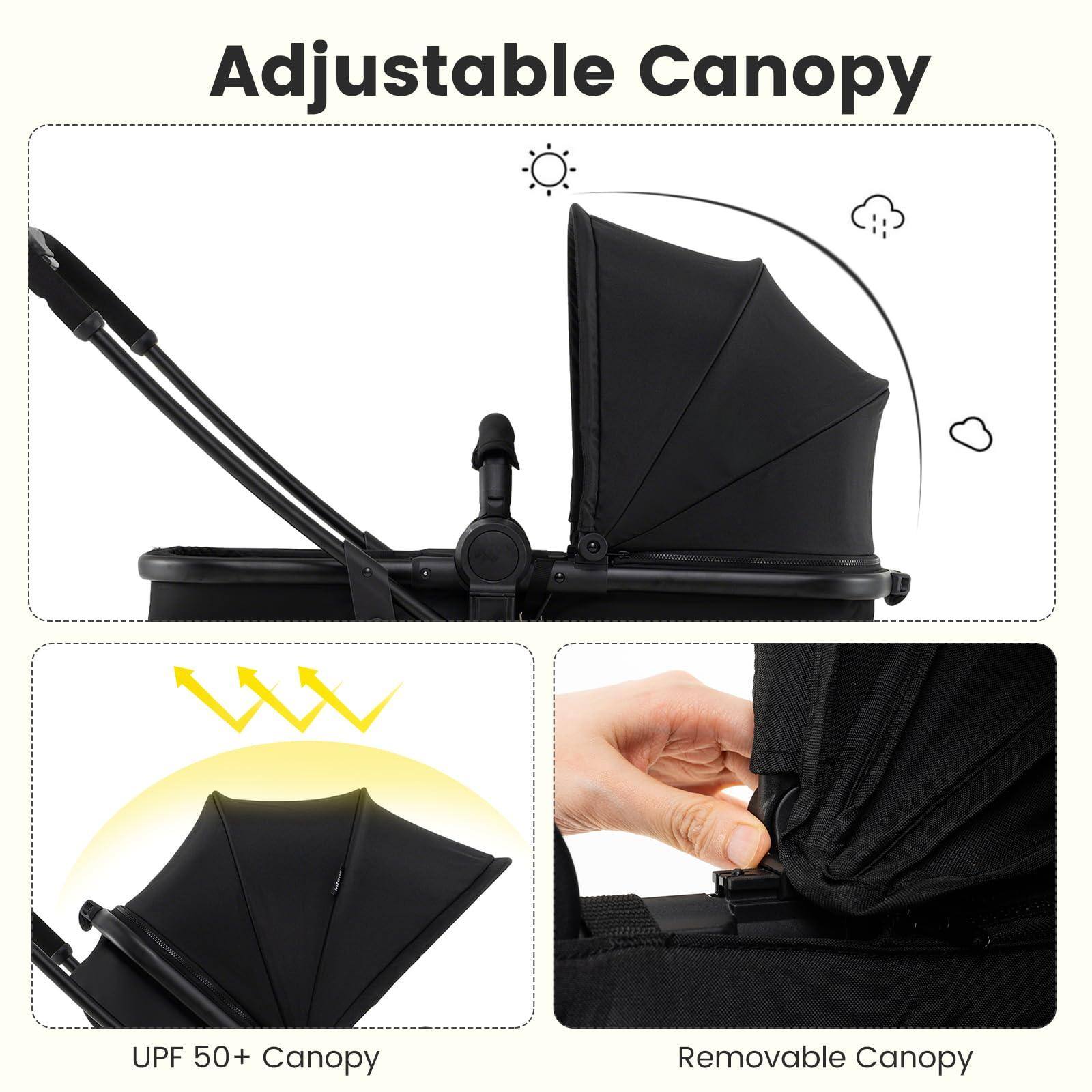 Adjustable Canopy  
UPF 50+ Canopy  
Removable Canopy