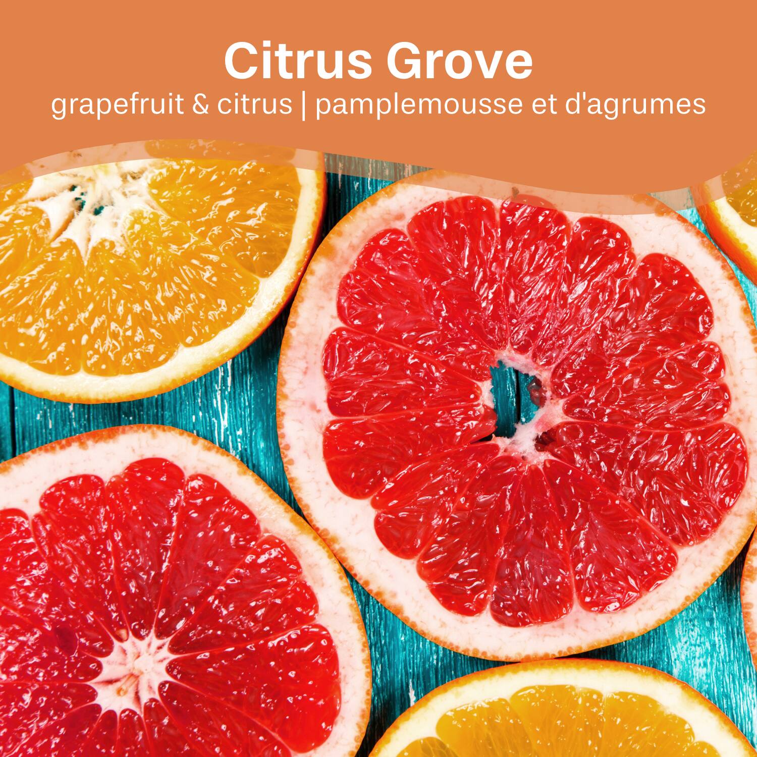 Citrus Grove  
grapefruit & citrus | pamplemousse et d'agrumes
