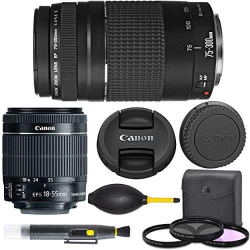 Canon - EF-S 18-55mm f/3.5-5.6 IS STM + EF 75-300mm f/4-5.6 III Dual-Lens Bundle (1 Year AOM Warranty) price history on PriceWatchPro