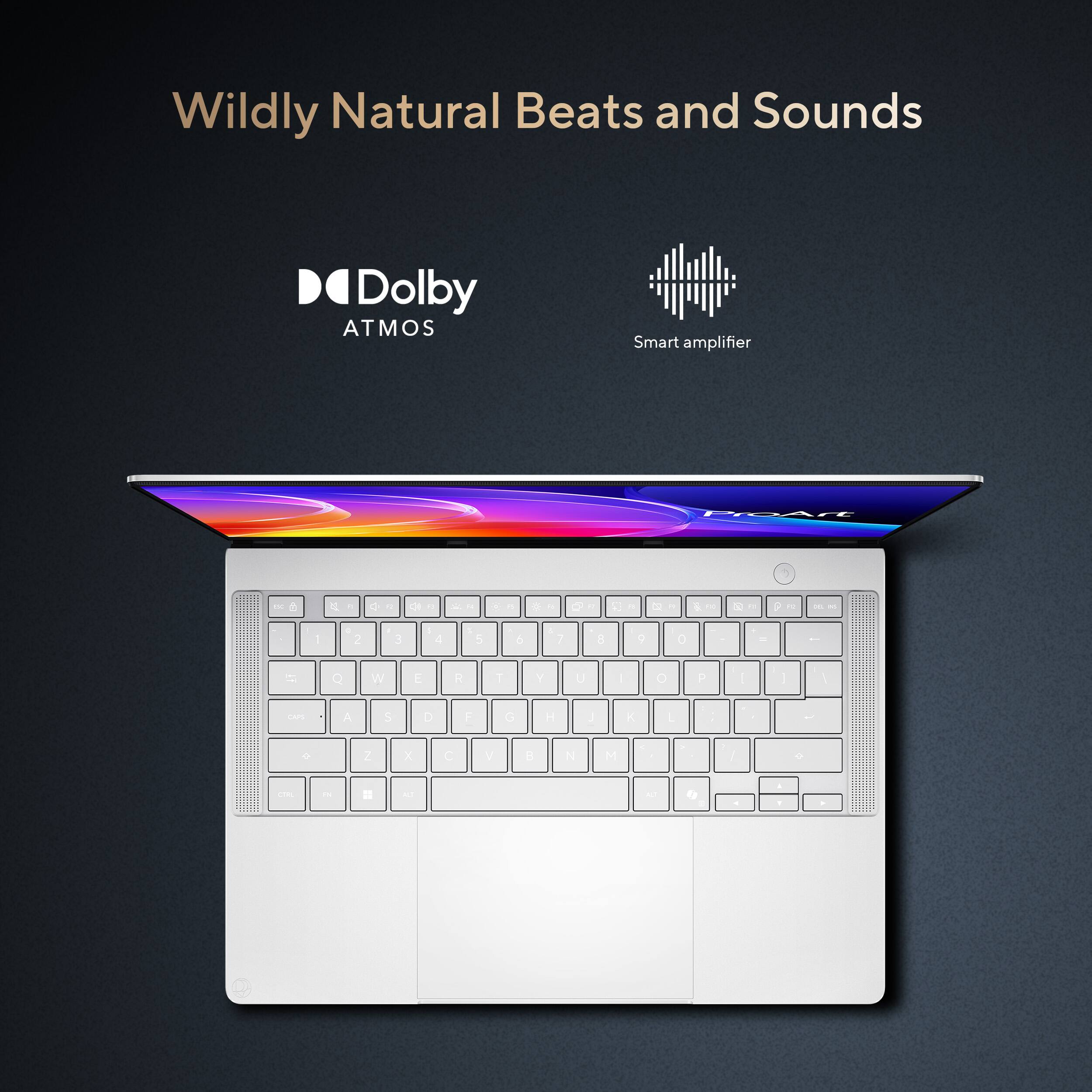 Wildly Natural Beats and Sounds  
Dolby ATMOS  
Smart amplifier  
ProArt