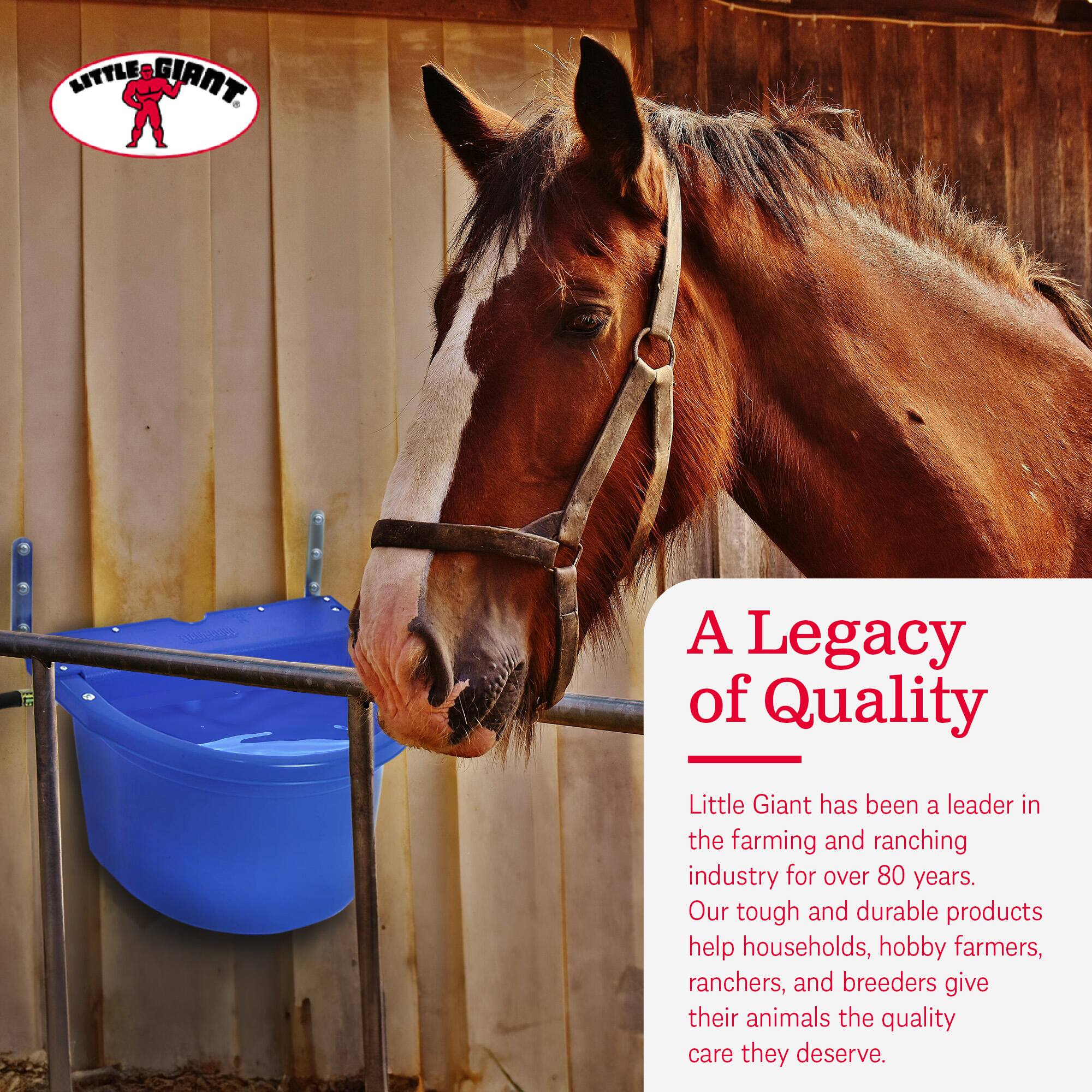 LITTLE GIANT

A Legacy of Quality

Little Giant has been a leader in the farming and ranching industry for over 80 years. Our tough and durable products help households, hobby farmers, ranchers, and breeders give their animals the quality care they deserve.